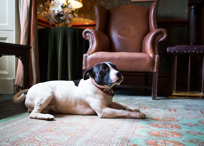 No 1 By Guesthouse, Hotel